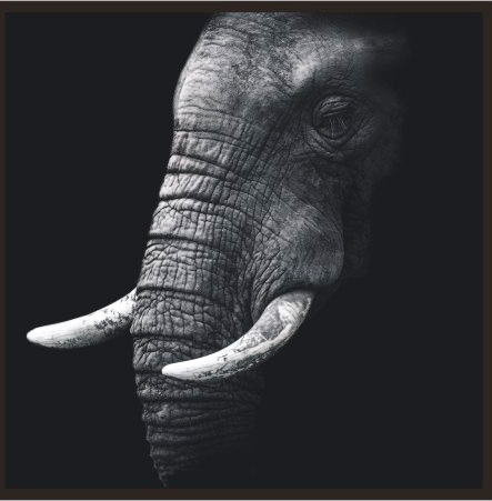 ASP004B Wall Décor art on acrylic PVC wildlife elephant
